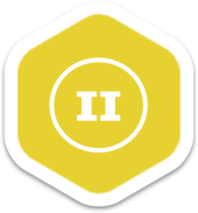 RomAI